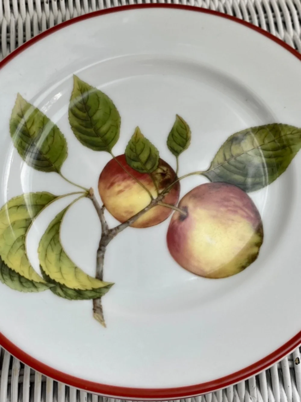 Williams-Sonoma Ceramic Plates. Fruit Designs on Salad, Fruit, Dessert Dishes